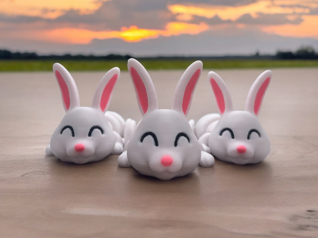 Articulated Bunny Rabbit Fidget Toy - ADHD toy, Sensory Toy, Desk Toy, Autism Toy, 3D Printed Toy